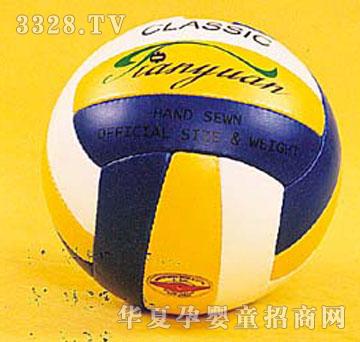 ߽Volleyball