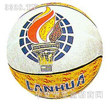 ߽7#Multi-Colour-Basketball9