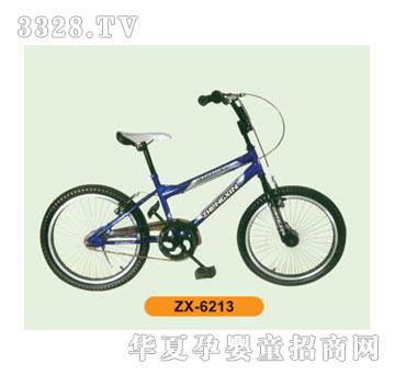 ±ݳZX-6213